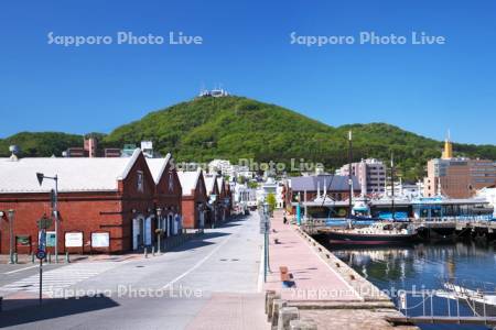 函館山と赤レンガ倉庫群と函館港