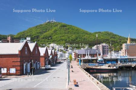 函館山と赤レンガ倉庫群と函館港