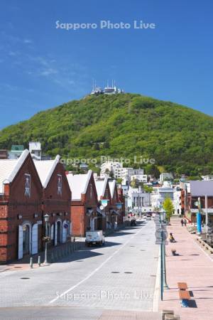 函館山と赤レンガ倉庫群と函館港