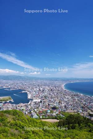 函館山より望む函館市街地