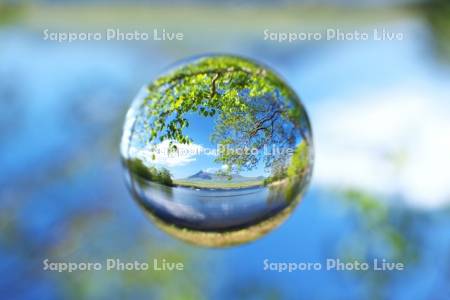 新緑の大沼と駒ケ岳