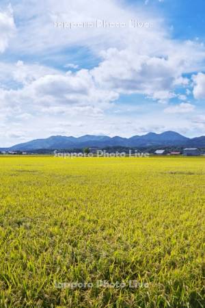 石狩の山々（ピンネシリ等）と石狩平野の水田