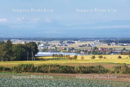 恵庭岳と田園風景