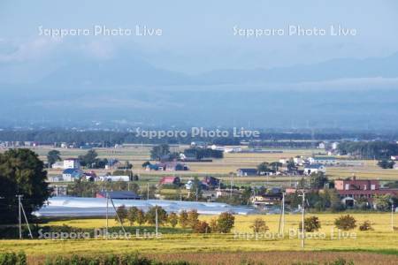 恵庭岳と田園風景