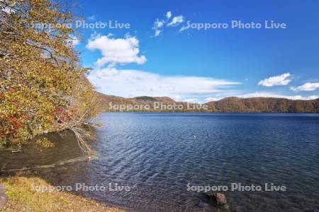 倶多楽湖の紅葉