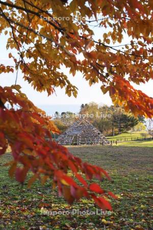 大船遺跡と紅葉