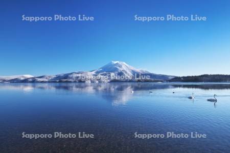 阿寒湖と雄阿寒岳と白鳥