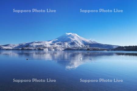 阿寒湖と雄阿寒岳と白鳥