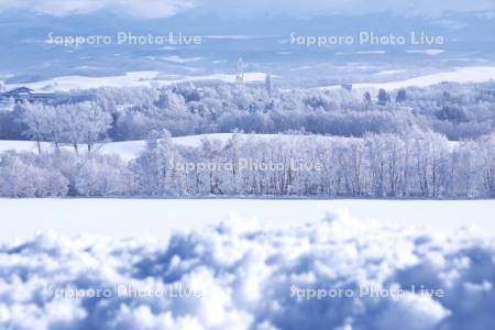 樹氷の木と雪原