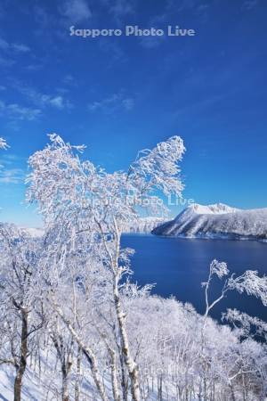 摩周湖と樹氷