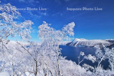 摩周湖と樹氷