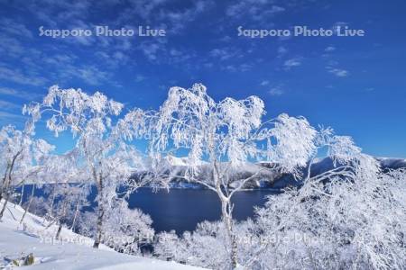 摩周湖と樹氷