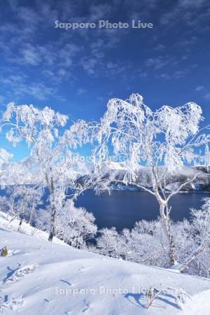 摩周湖と樹氷