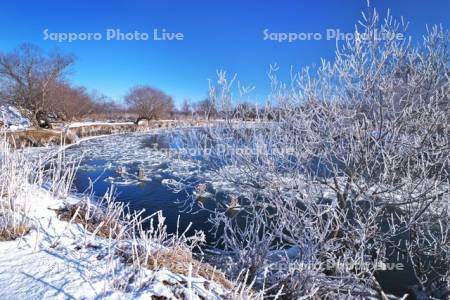 釧路川の氷とフロストフラワー