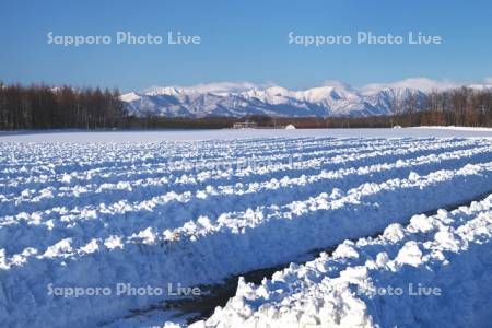 日高山脈と畑の雪割り