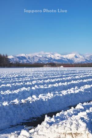 日高山脈と畑の雪割り