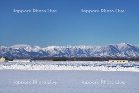 日高山脈と畑の雪割り