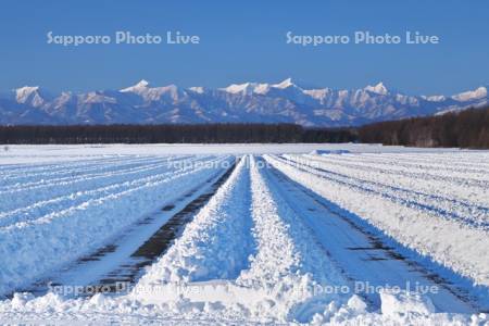 日高山脈と畑の雪割り