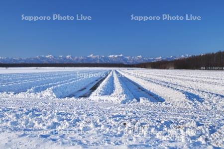 日高山脈と畑の雪割り