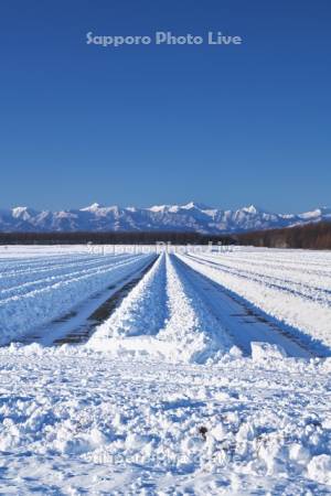 日高山脈と畑の雪割り