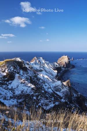 神威岬と神威岩と日本海