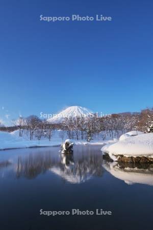 羊蹄山とふきだし公園