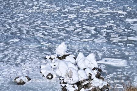 納沙布岬のしぶき氷と流氷