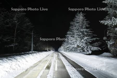 白金模範牧場の道と樹氷の木