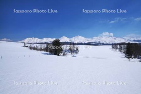 十勝岳連峰と雪原