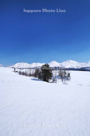 十勝岳連峰と雪原