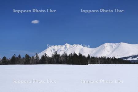 十勝岳連峰と雪原