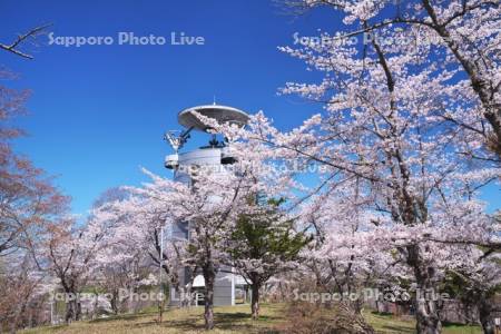 東明公園の桜とスペースカリヨン