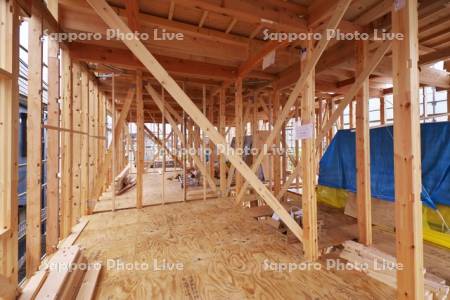 住宅（アパート）の建築工事　2F骨組と屋根裏