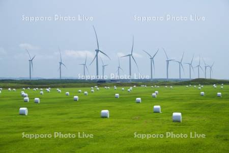 浜里ウインドファームと牧草ロール