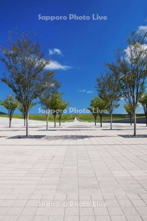 高田松原津波復興祈念公園