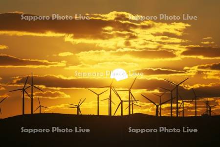 宗谷丘陵の風力発電の日没