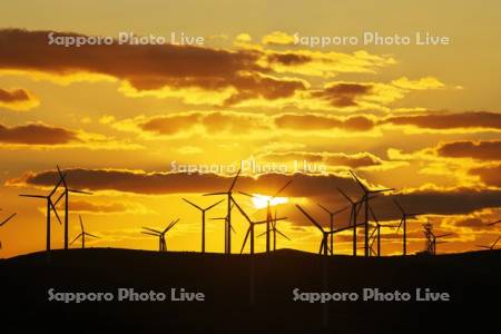 宗谷丘陵の風力発電の日没