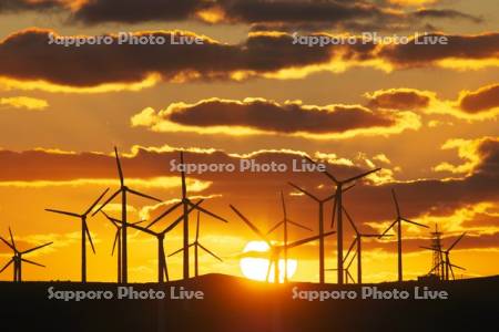 宗谷丘陵の風力発電の日没