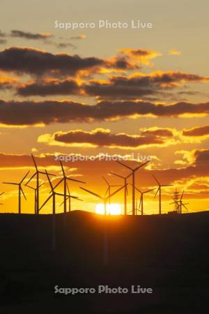 宗谷丘陵の風力発電の日没