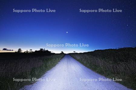 宗谷丘陵と白い道と星