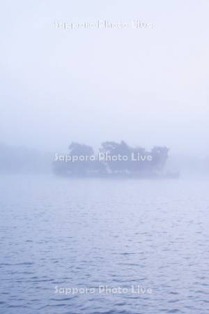 朝霧の鶴沼