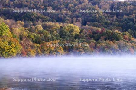 朝の洞爺湖の紅葉とけあらし
