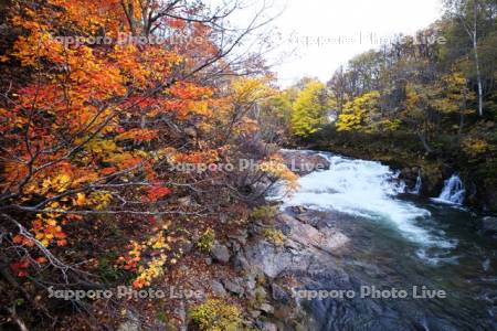 ライオン（雷音）の滝と紅葉