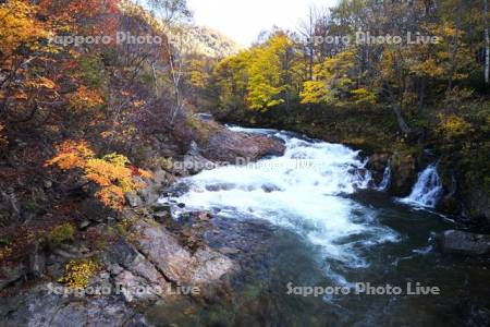 ライオン（雷音）の滝と紅葉