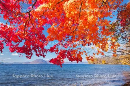 洞爺湖の紅葉と中島