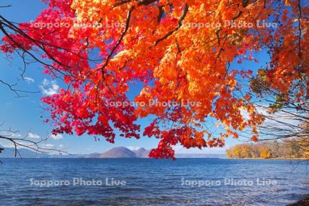 洞爺湖の紅葉と中島