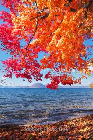 洞爺湖の紅葉と中島