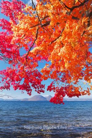 洞爺湖の紅葉と中島