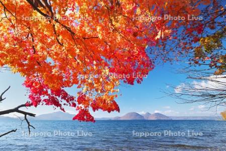 洞爺湖の紅葉と中島