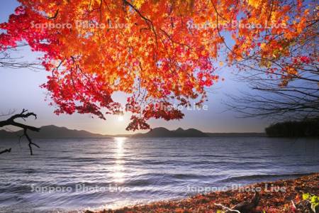 洞爺湖の日没と中島と紅葉